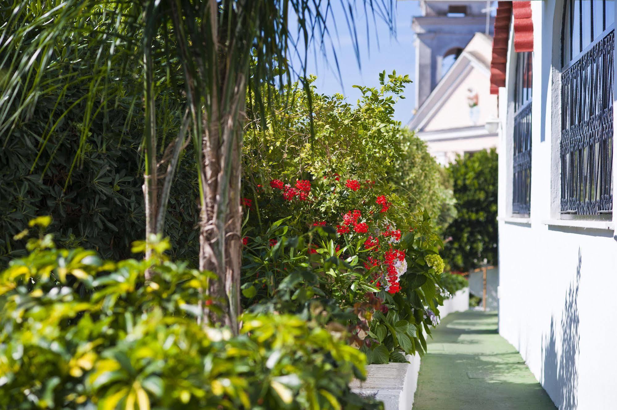Hotel Casa Di Meglio Dependance Casamicciola Terme Zewnętrze zdjęcie